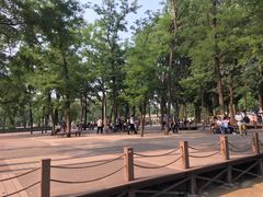 -圆明园停车场