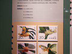 -桂林博物馆