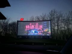 -枫花园汽车电影院(朝阳公园店)