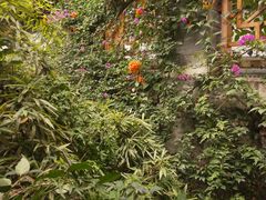 -福州市仓山小学