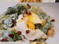 -Fern Forest Cafe
