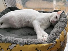 -Doors独立剧情密室(东门分店)