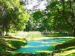 -长白岛森林公园