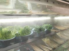 -老马路串串香火锅(北门桥店)