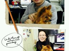 android_upload_pic-A+摄影
