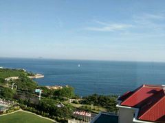 -青岛海景花园大酒店·白果树餐厅青岛菜