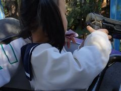 -朝阳公园游乐园