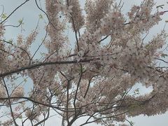 -白石龙音乐公园