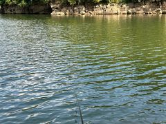 -鲁迅公园-垂钓中心