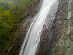 android_upload_pic-陕西省红河谷森林公园