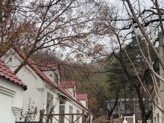 -北京鹫峰国家森林公园