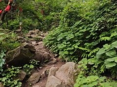 -抱龙峪