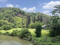 -南宁良凤江国家森林公园