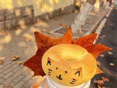 -八大关景区