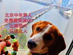 -浙江西子宾馆·牡丹厅