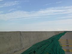 -枸杞岛