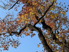 -南京东郊国宾馆