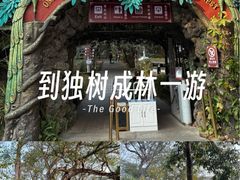 -瑞丽独树成林风景区