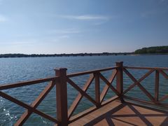-丁香湖公园