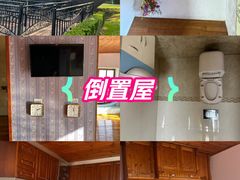 -金山农民画村-枫泾波兰倒置屋
