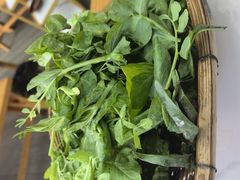 -吴天家私坊铜火锅(远达·帝景华廷店)