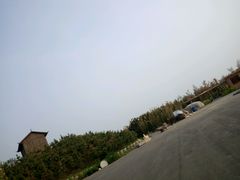 -兰陵国家农业公园