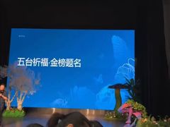 -荷苗艺术空间