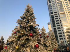 -城市露台景观餐厅(淮海路店)