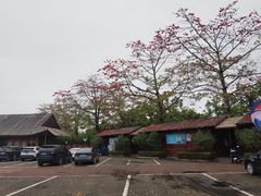 -大湾区中央湿地公园