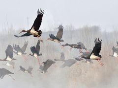 -沕沕水生态风景区