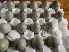 -大润发(东关世茂店)