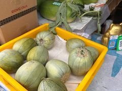 -三林塘老街