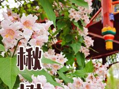 -北京动物园