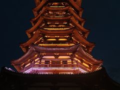 -洋湖国家湿地公园