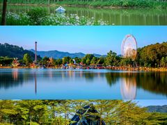 -森波拉奇妙世界