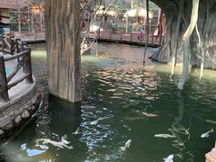 -南宫五洲植物乐园