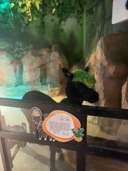 -酷嗒动物文化乐园(cutezoo西溪乐天城店)