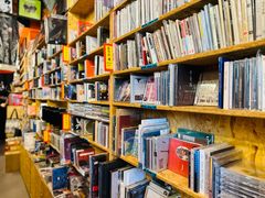 -独音唱片 Indie Music