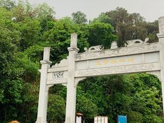 -羚羊峡古栈道森林公园