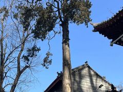 -终南山南五台景区