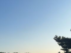 -丁香湖公园