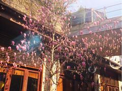 iphone_upload_pic-证大大拇指广场(芳甸路店)