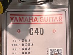 -雅马哈乐器专卖店(广州旗舰店)