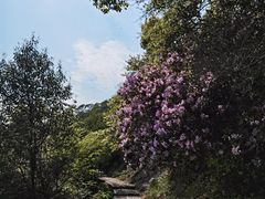 -韬光茶庵