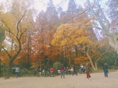 -角落里(中山公园店)