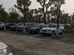 -上海长兴岛郊野公园