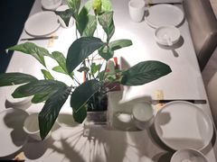 -大鸭梨烤鸭(枣园店)