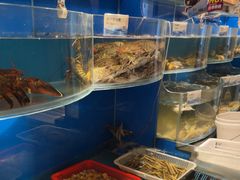 -福来齐·鲁菜海鲜·渔家菜(朝阳街分店)
