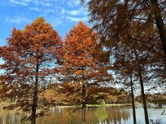 -苏州太湖国家湿地公园