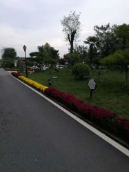 -金雨玫瑰庄园酒店-宴会中心